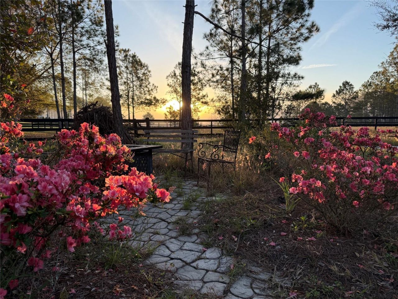 35620 Pinegate Trail, Eustis, FL 32736 Photo