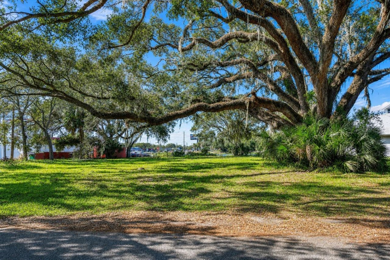 1214 W Brandon Boulevard , Brandon, FL 33511 Photo
