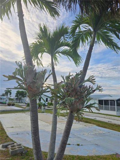 19681 Summerlin #40 Rd , Fort Myers, FL 33908 Photo