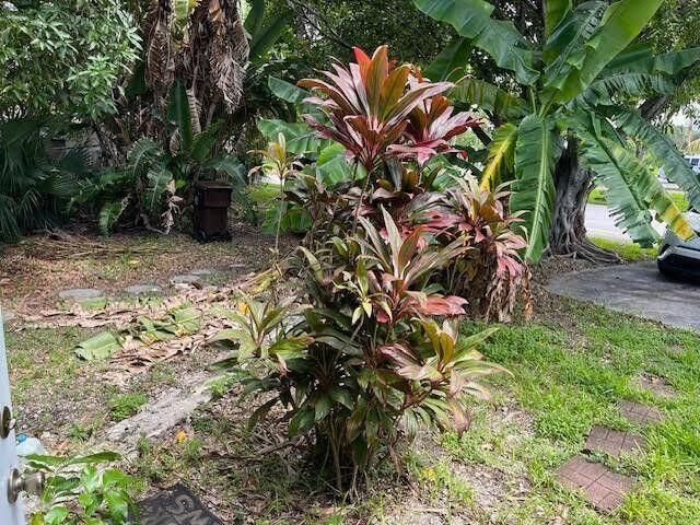 2025 Delphia Street, West Palm Beach, FL 33401 Photo