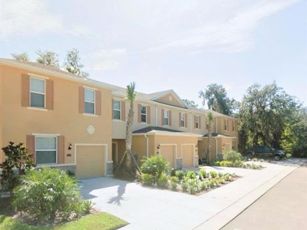 13805 RIVER FISH COURT , TAMPA, FL 33637