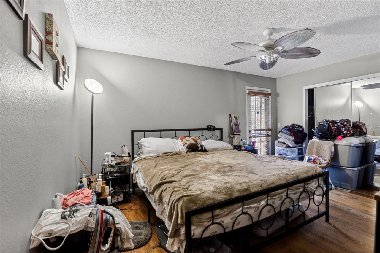 5298 Indian Laurel Court, Orlando, FL 32808 Photo