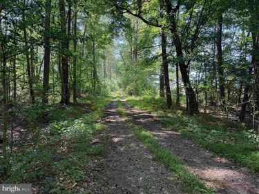 DODLYT ROAD (TRACT: BK2932), HEATHSVILLE, VA 22473