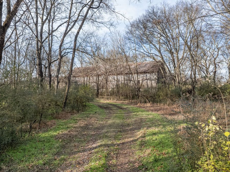 Property Image 38