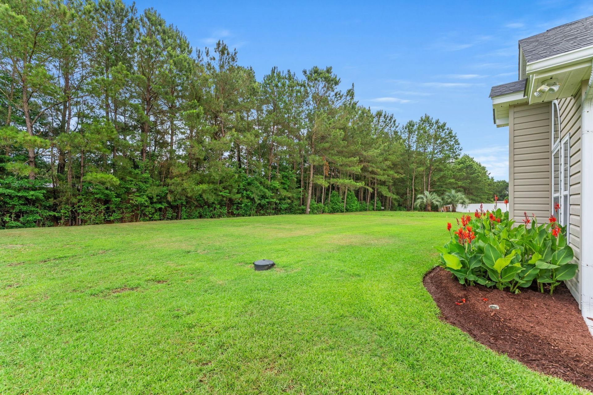 133 Maiden Ln.  Photo 4