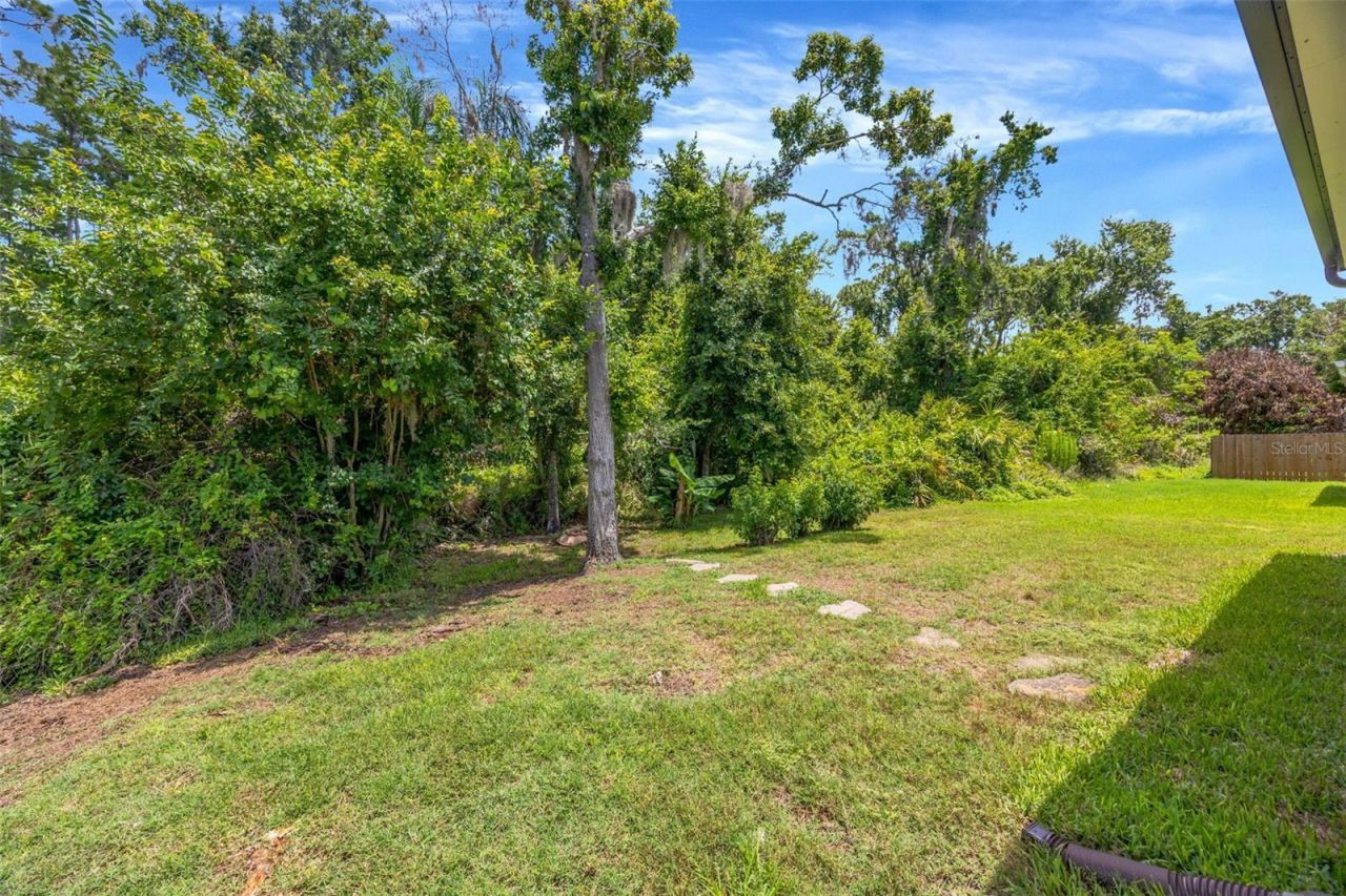 19507 Ardwick Way, Land O Lakes, FL 34638 Photo