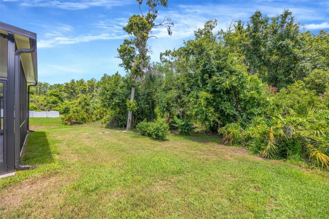 19507 Ardwick Way, Land O Lakes, FL 34638 Photo