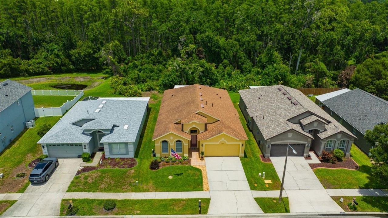 19507 Ardwick Way, Land O Lakes, FL 34638 Photo