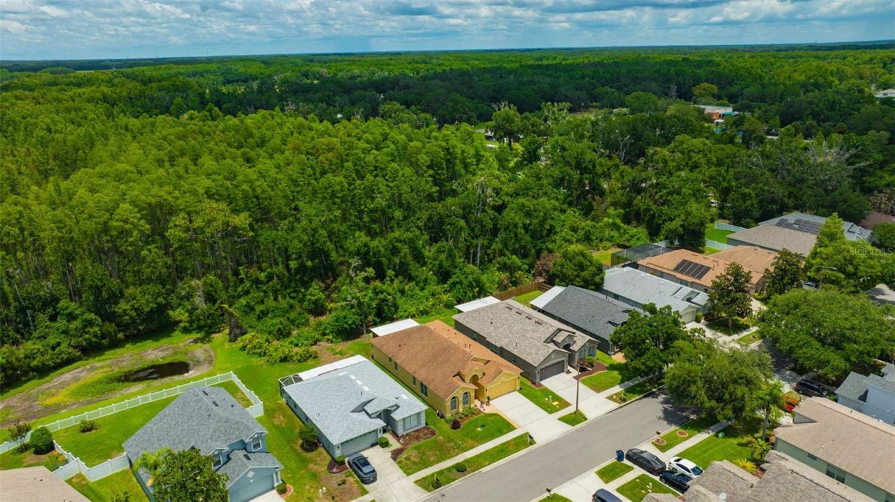 19507 Ardwick Way, Land O Lakes, FL 34638 Photo