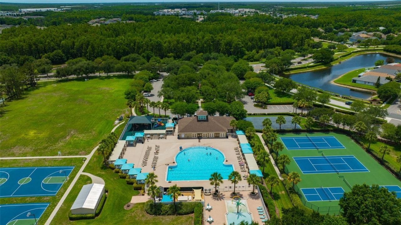 19507 Ardwick Way, Land O Lakes, FL 34638 Photo