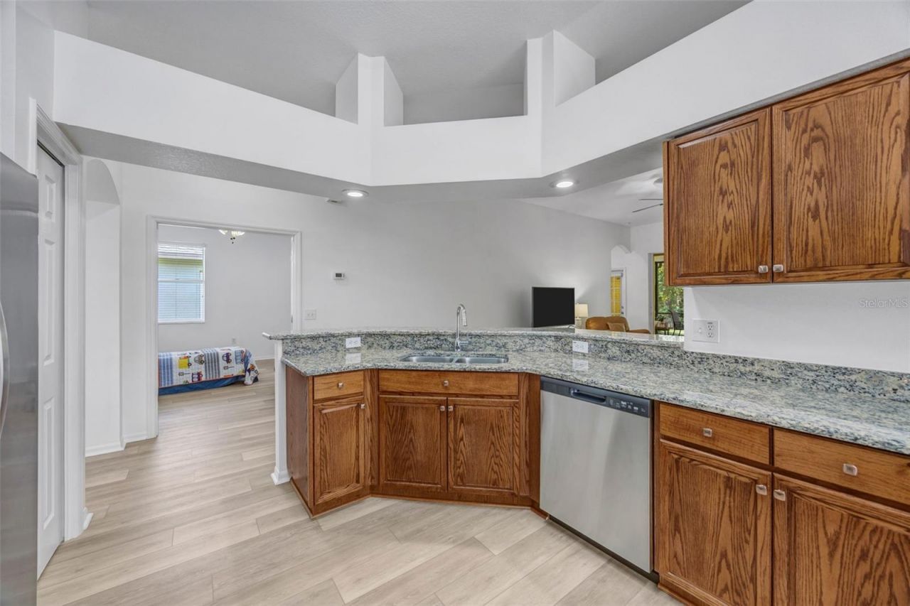 19507 Ardwick Way, Land O Lakes, FL 34638 Photo