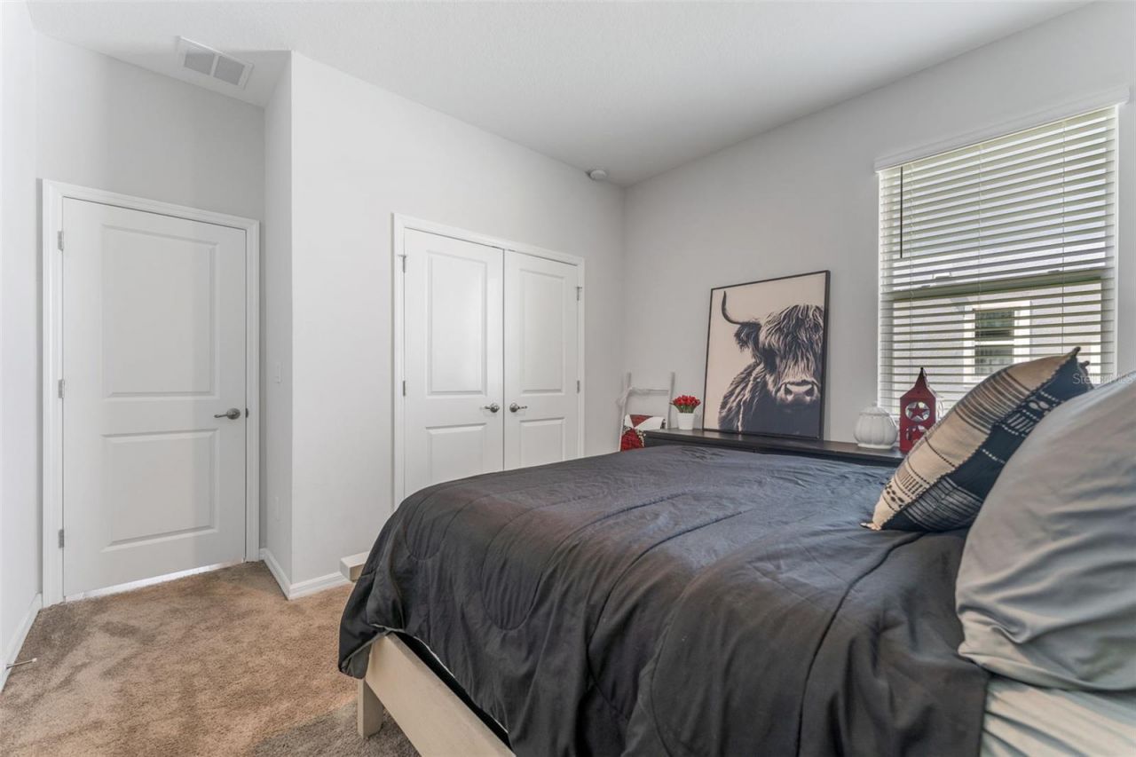34315 Radley Way , Wesley Chapel, FL 33545 Photo