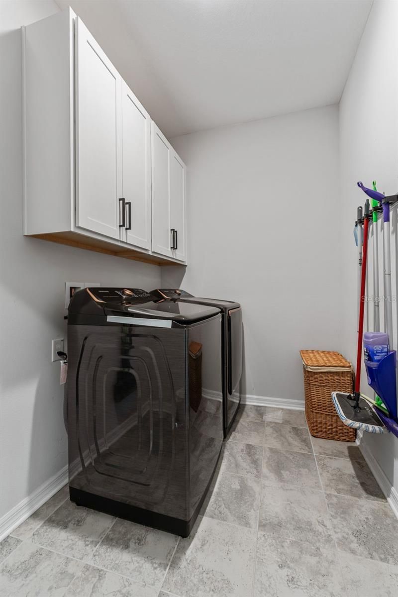 34315 Radley Way , Wesley Chapel, FL 33545 Photo