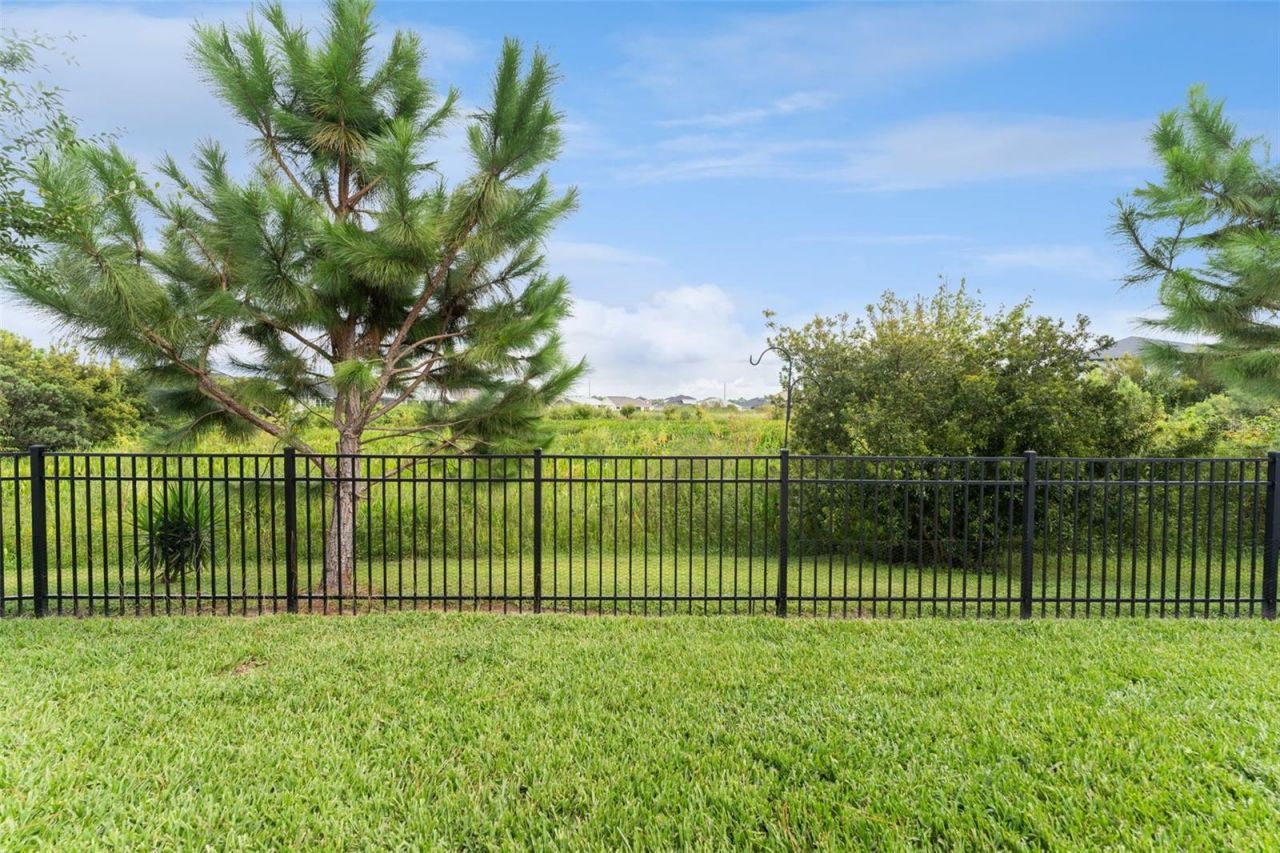 34315 Radley Way , Wesley Chapel, FL 33545 Photo