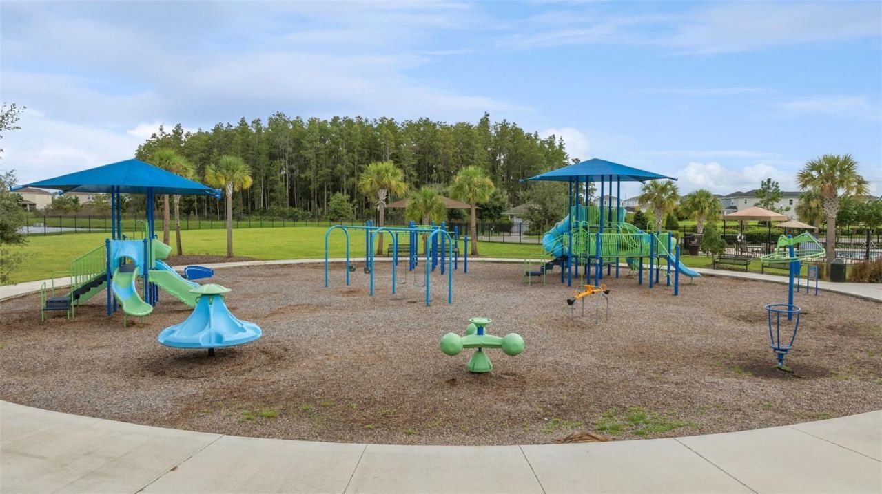 34315 Radley Way , Wesley Chapel, FL 33545 Photo