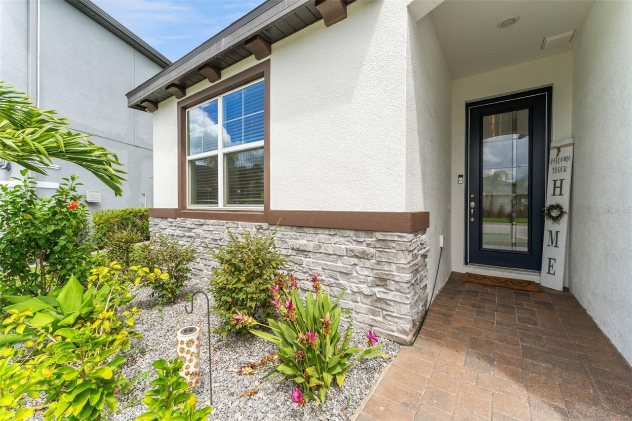 34315 Radley Way , Wesley Chapel, FL 33545 Photo