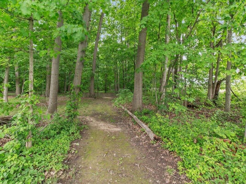 15762 Fish-Daum Road, Richwood, OH 43344 Photo 52
