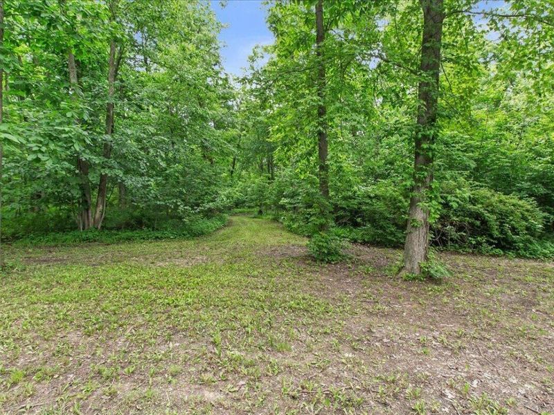 15762 Fish-Daum Road, Richwood, OH 43344 Photo 53