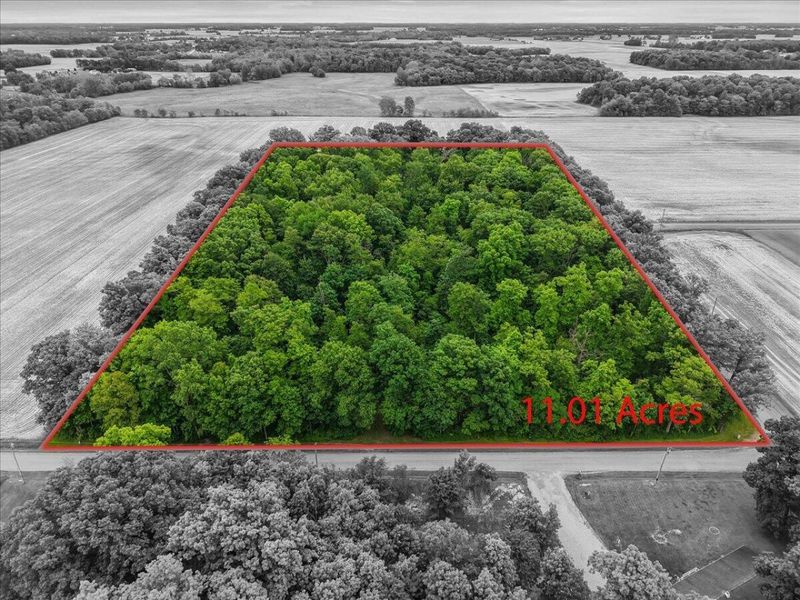 15762 Fish-Daum Road, Richwood, OH 43344 Photo 56