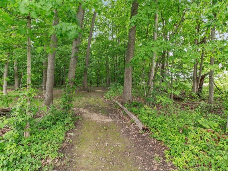 15762 Fish-Daum Road , Richwood, OH 43344 Photo 53