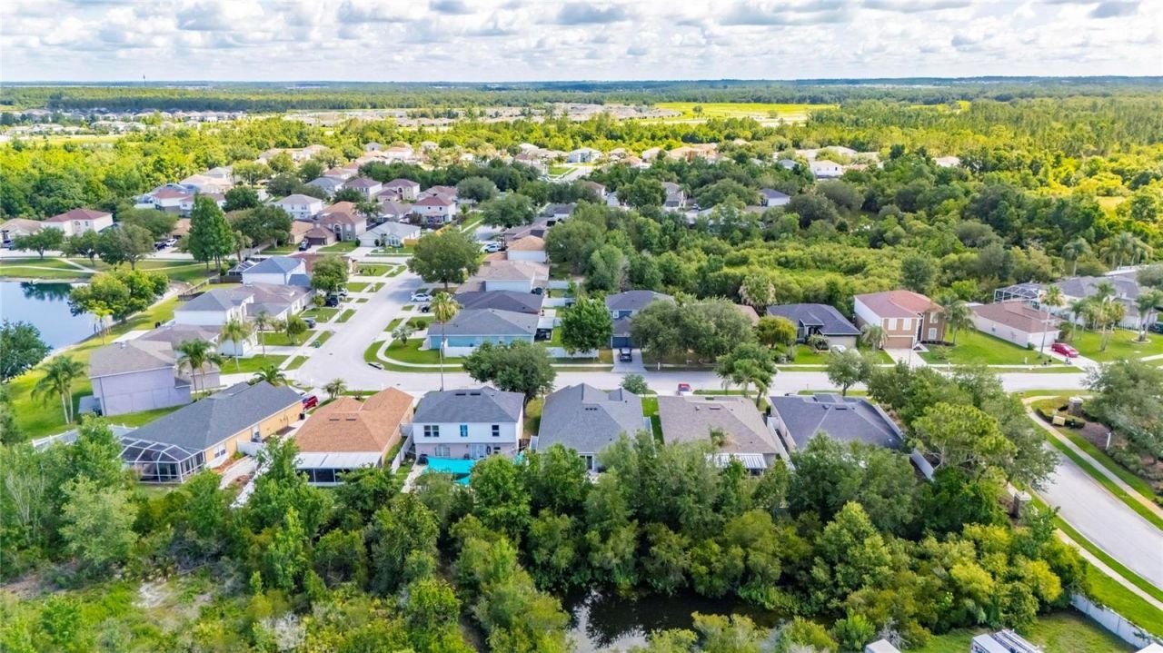 31620 Loch Aline Drive , Wesley Chapel, FL 33545 Photo