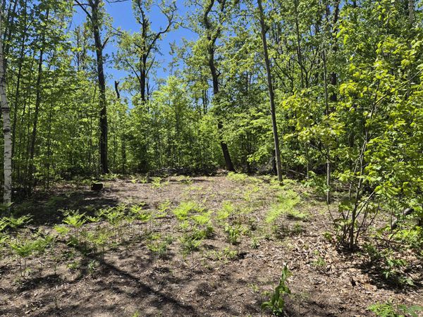 L 187-188 Primrose Trail, Gaylord, MI 49735