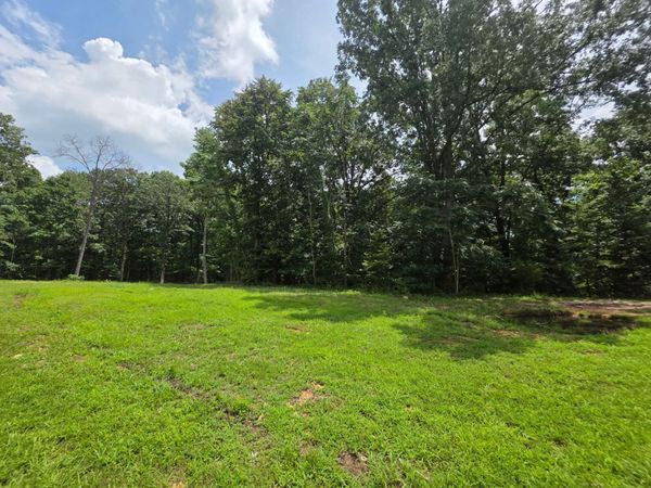 0 Baggett Hollow , Cunningham, TN 37052