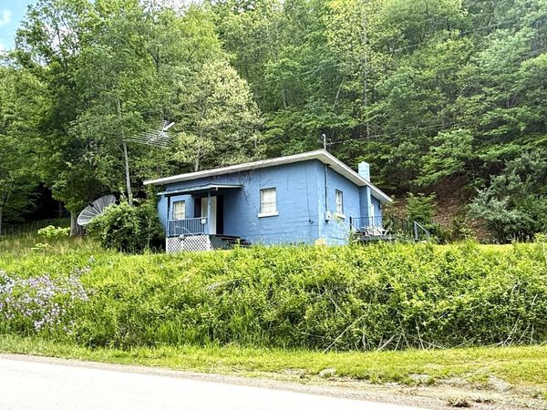 613 Everett Tibbs Rd, Marlinton, WV 24954