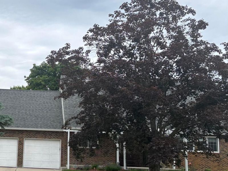 6378 Youngland Drive, Columbus, OH 43228 Photo 5