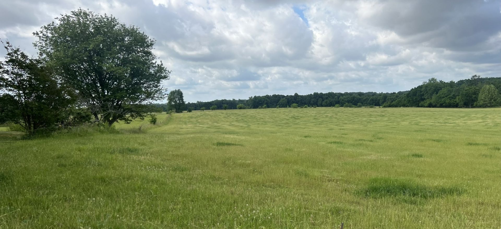 0 Caudill Rd, Lot #4, Franklin, KY 42134 Main Photo
