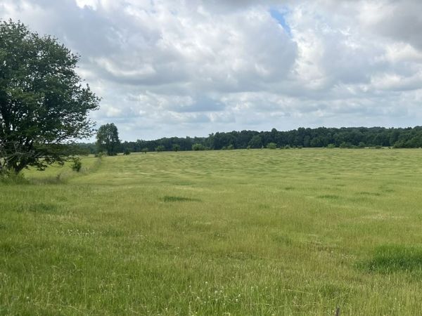 0 Caudill Rd, Unit 4, Franklin, KY 42134