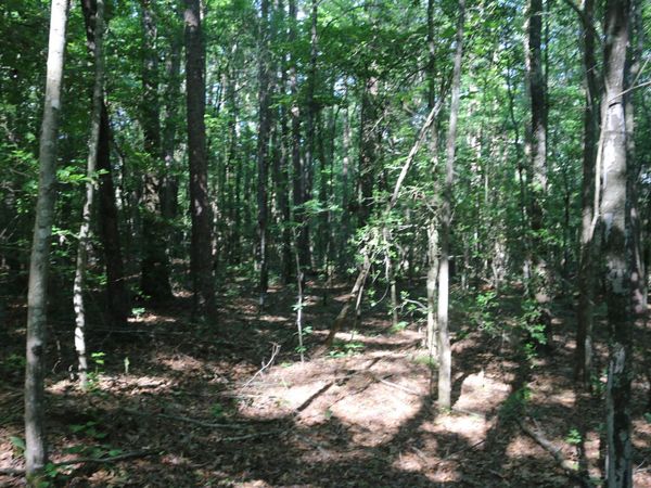 0000 Polk Rd 47 , Mena, AR 71953