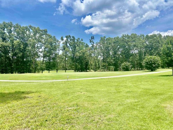 13 LEGENDS DR, Counce, TN 38326