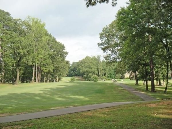 13 LEGENDS DR, Counce, TN 38326