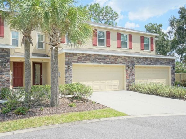13107 CANOPY CREEK DRIVE, TAMPA, FL 33625