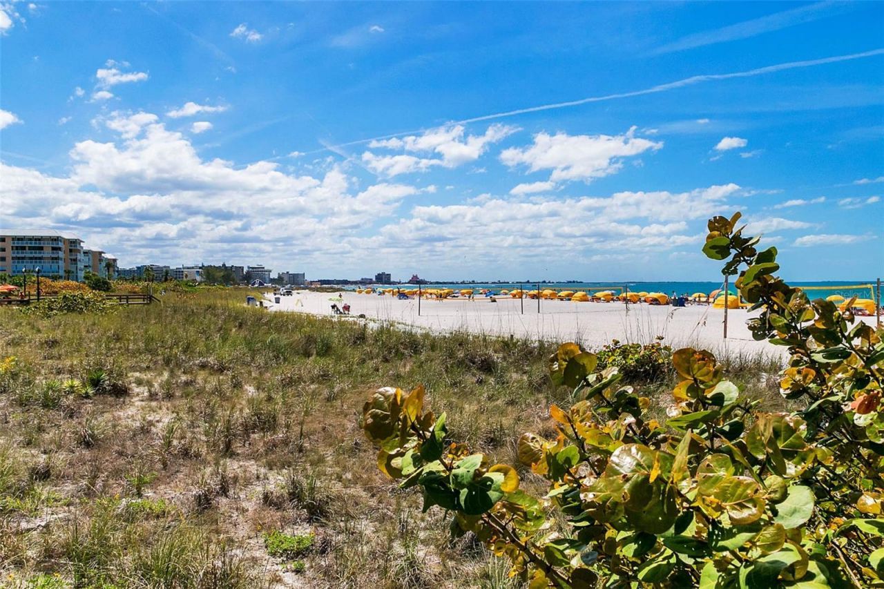5126 16th Avenue S, Gulfport, FL 33707 Photo