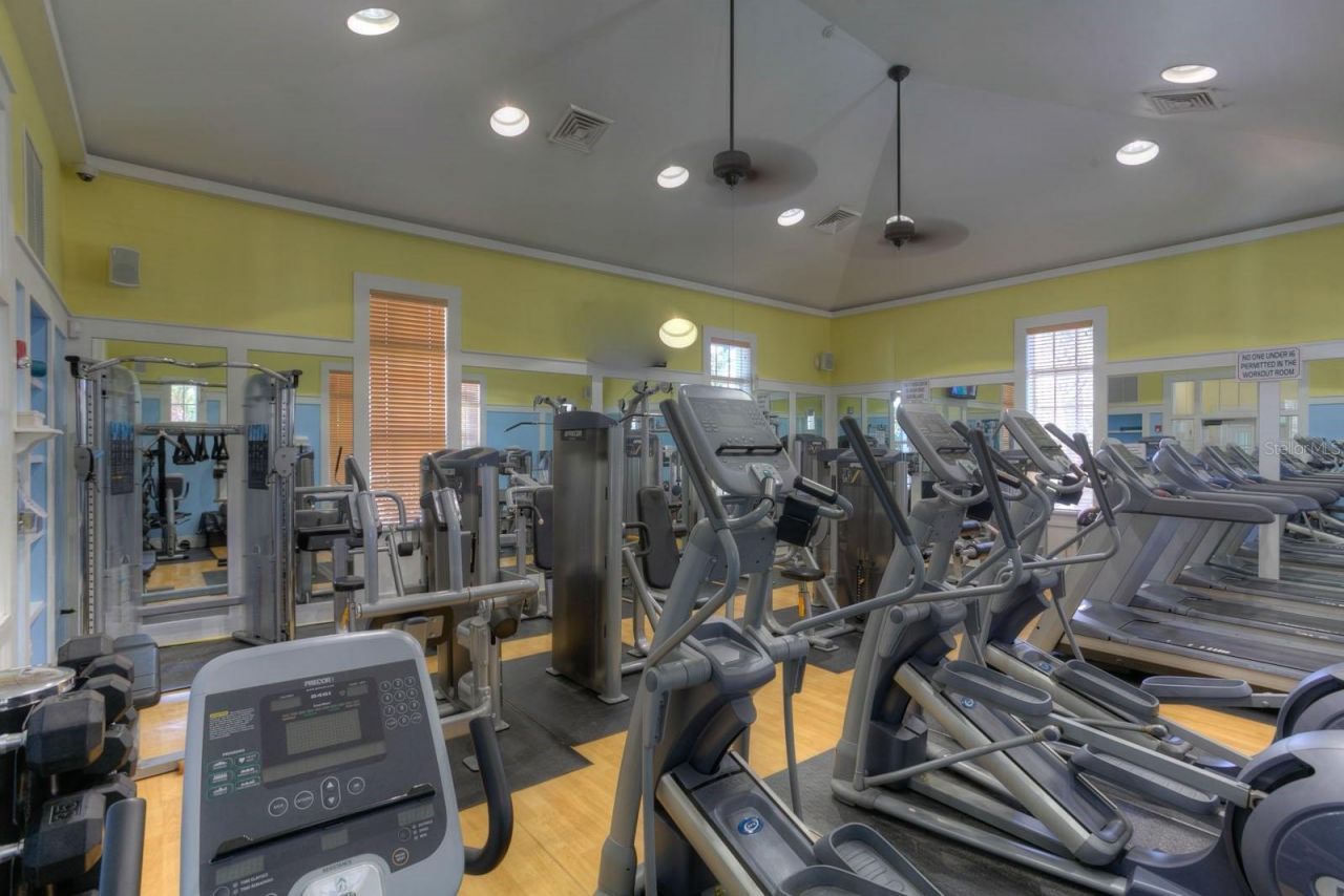 6122 Kestrelpark Drive, Lithia, FL 33547 Photo