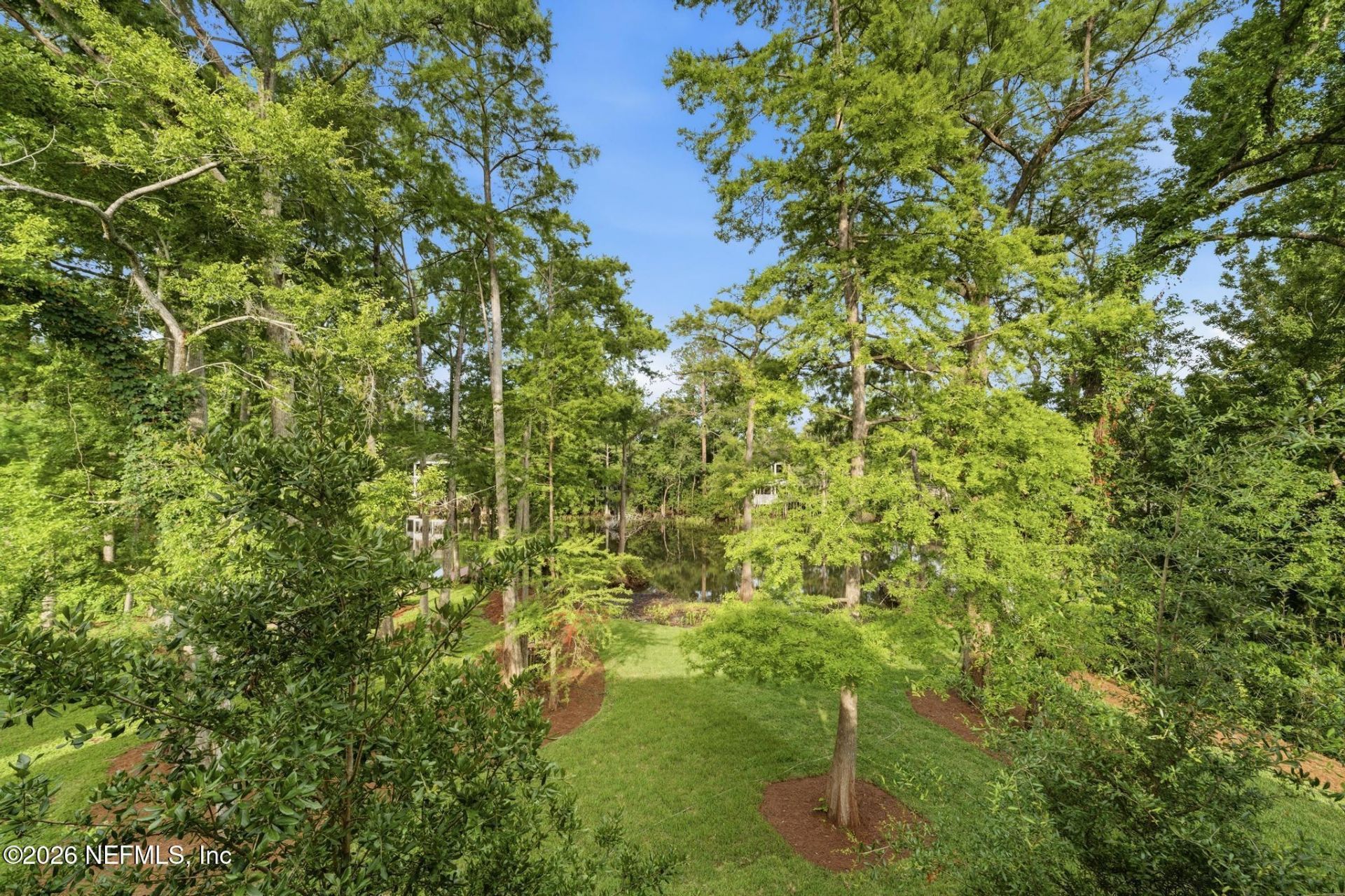8861 Amalfi Court, Jacksonville, FL 32217 Photo