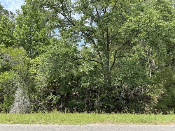 5020 Stephen Street, Hastings, FL 32145