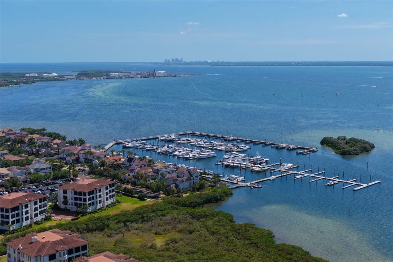 6149 Yeats Manor Drive, Tampa, FL 33616 Photo