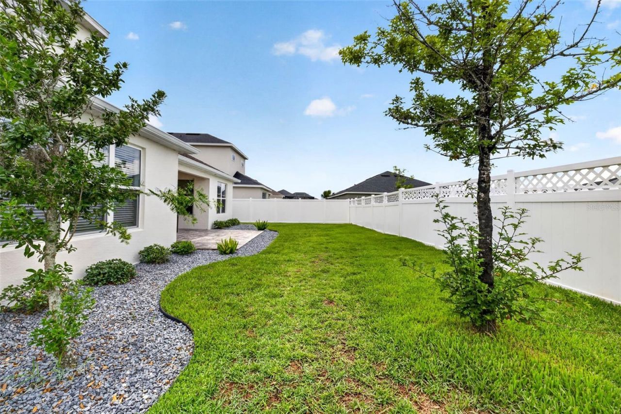 6967 Talamore Dr, Wesley Chapel, FL 33545 Photo