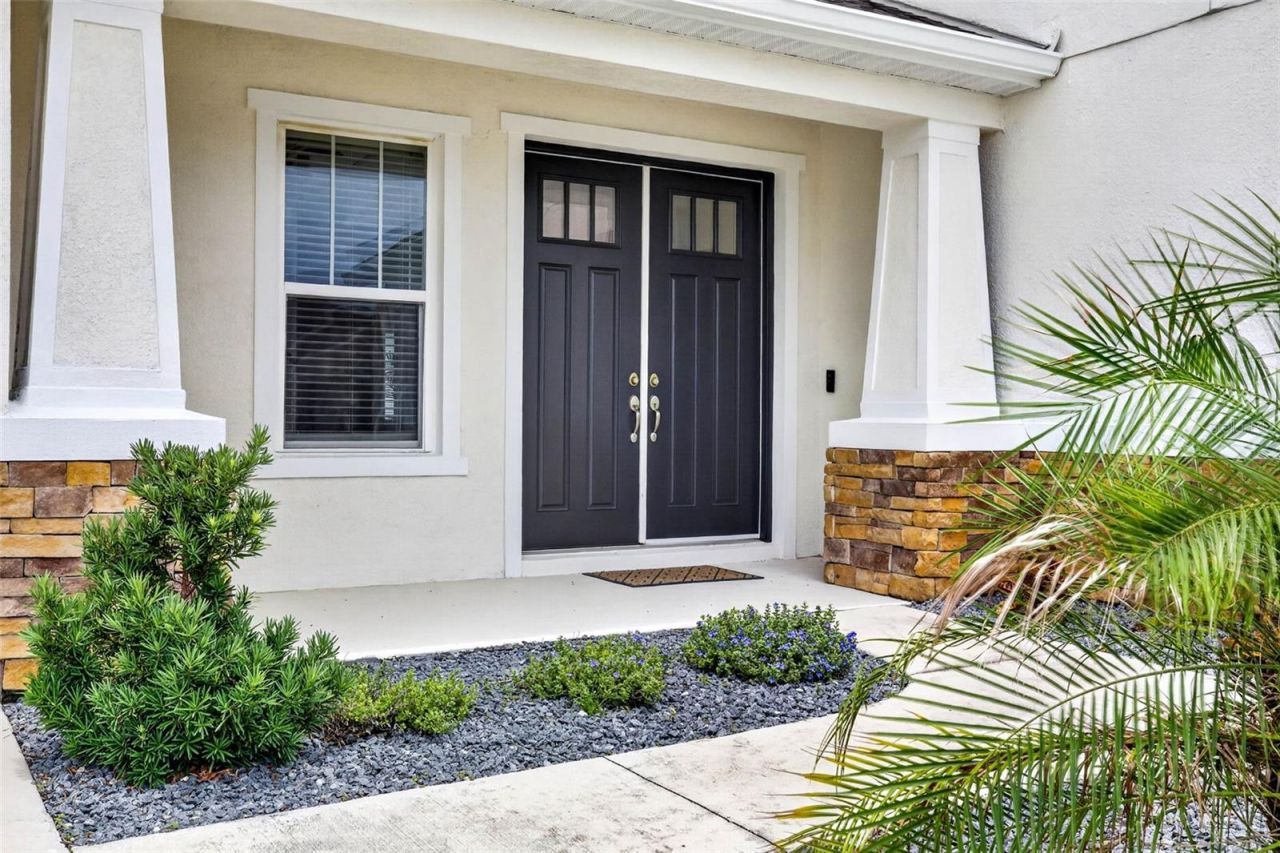 6967 Talamore Dr, Wesley Chapel, FL 33545 Photo