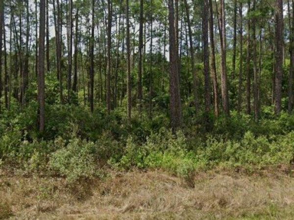 137 E BOUNDARY DRIVE , GEORGETOWN, FL 32139