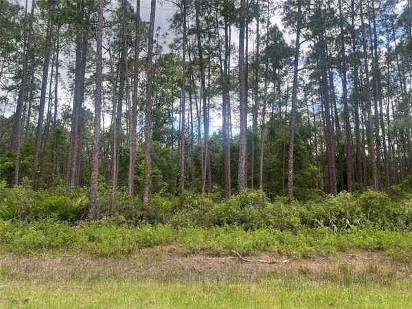 137 E BOUNDARY DRIVE, GEORGETOWN, FL 32139