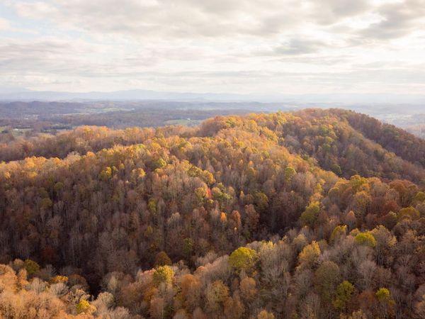 544 Ethel Beard Road, Blountville, TN 37617
