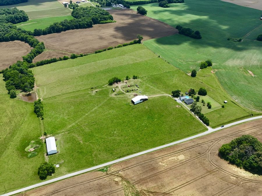 Property Image 6