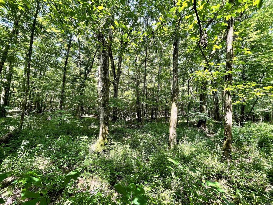 Property Image 25