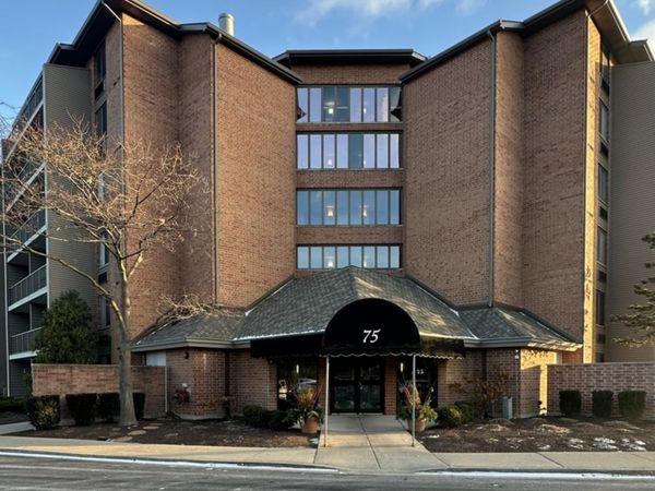 75 Kristin Circle, Unit 613, Schaumburg, IL 60195
