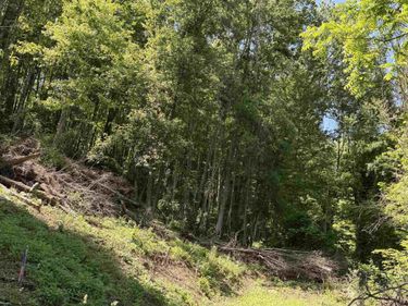 TBD Sandy Drive, Grafton, WV 26354