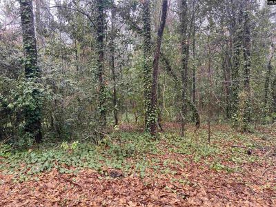 1951 Forest Drive , Camden, SC 29020